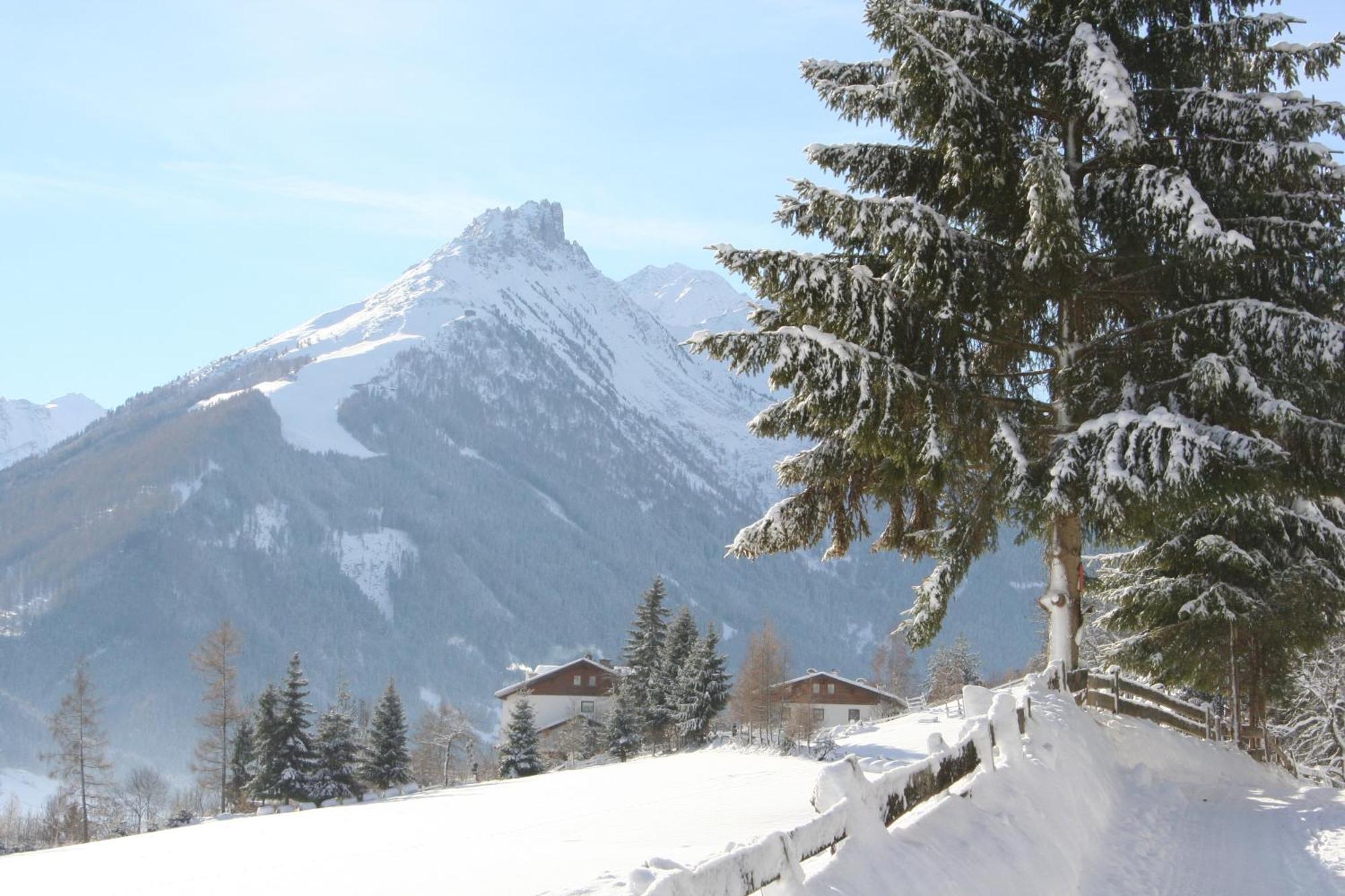 Gasthof Groebenhof Fulpmes Dış mekan fotoğraf